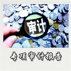 清算审计