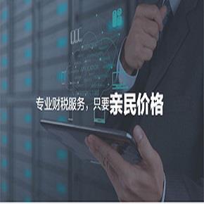财税服务