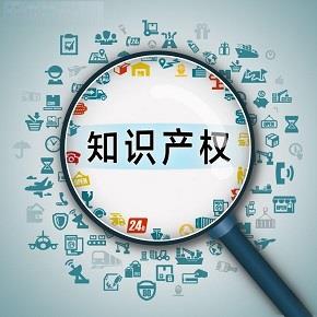 知识产权